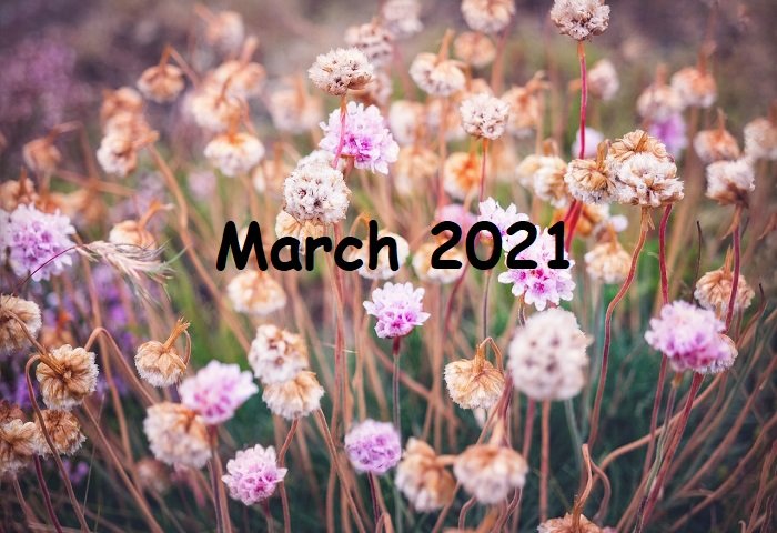 2021 March