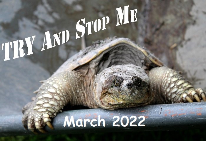 2022 March
