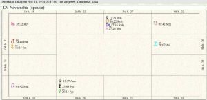 Leonardo DiCaprio Destiny Chart 02