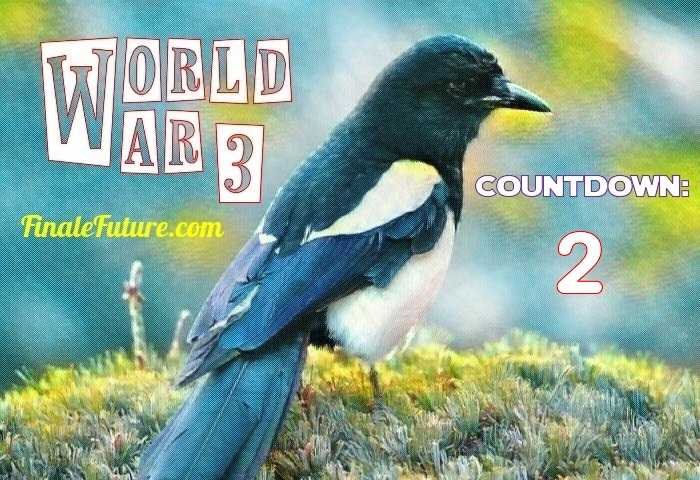 World War 3 - Magpie Countdown 02